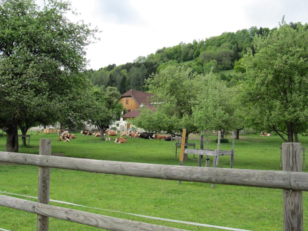 Donisbauerhof Lägenhet Lieserbrücke Exteriör bild