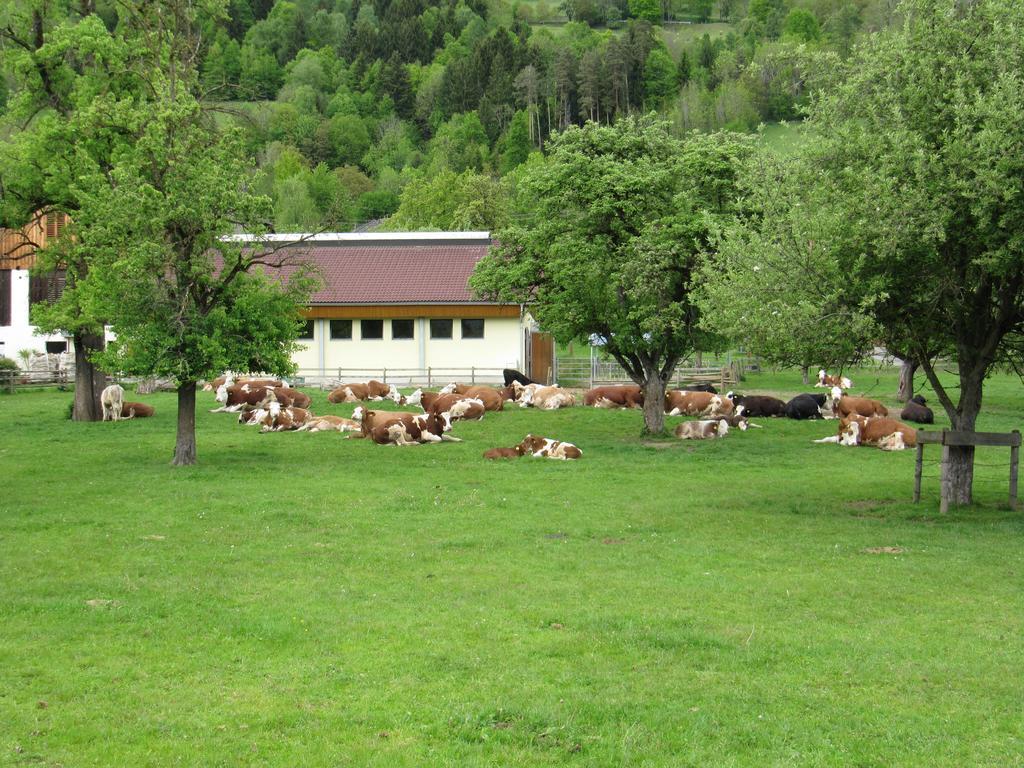 Donisbauerhof Lägenhet Lieserbrücke Exteriör bild